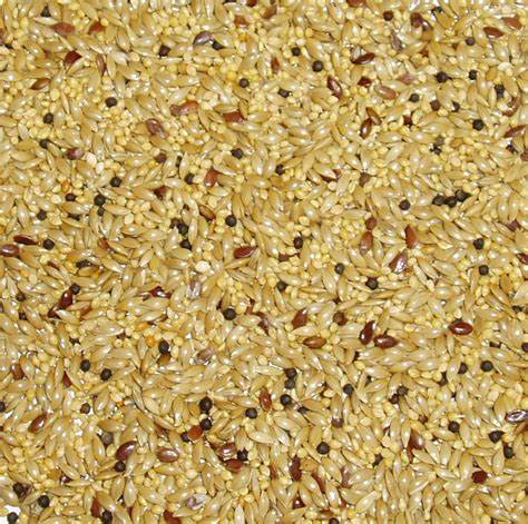 CANARY MIXTURE 1KG