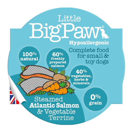 BIG PAWS SALMON & VEG 85G SMALL DOG