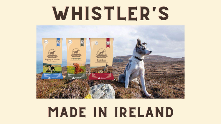 Cheap dog online stores near me