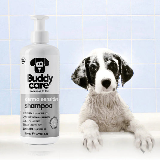 BUDDYCARE 500ML DERMA SENSITIVE SHAMPOO