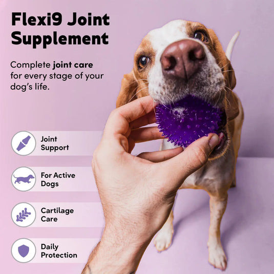 FLEXI 9 - JOINT SUPPORT 100G