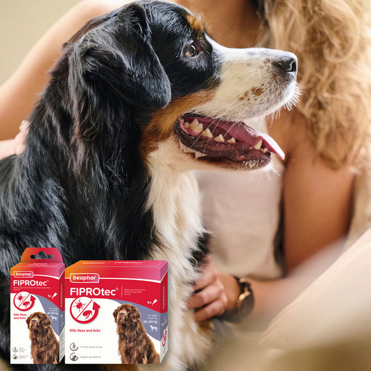 FIPROTEC SPOT ON XL DOG 4 TREATMENTS