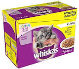 WHISKAS KITTEN POULTRY SELECTION JELLY 12PK