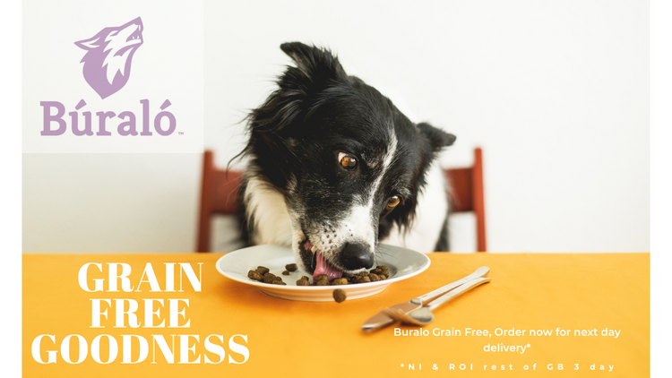 Places to get free dog food hot sale