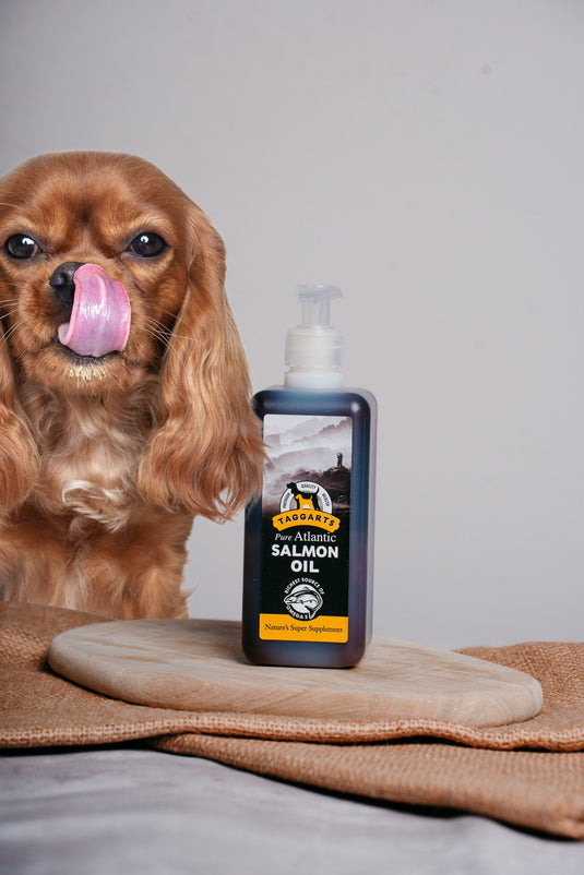 TAGGARTS SALMON OIL 500ML