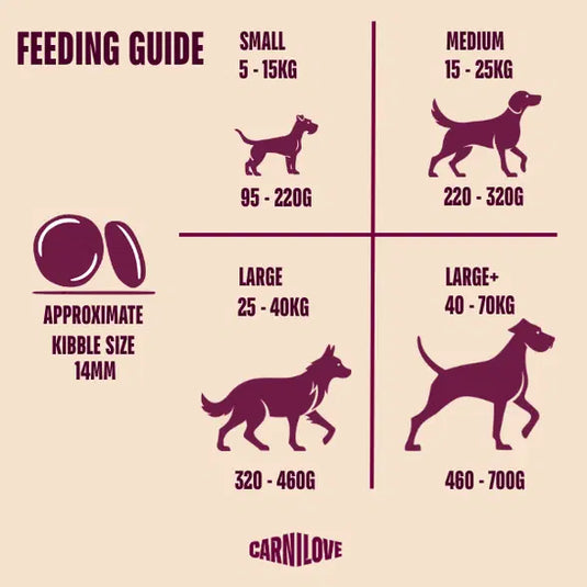 CARNILOVE ADULT LAMB & BOAR