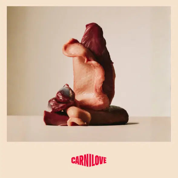 Load image into Gallery viewer, CARNILOVE ADULT DUCK &amp; PHEASANT
