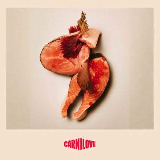 CARNILOVE SMALL ADULT SALMON & TURKEY