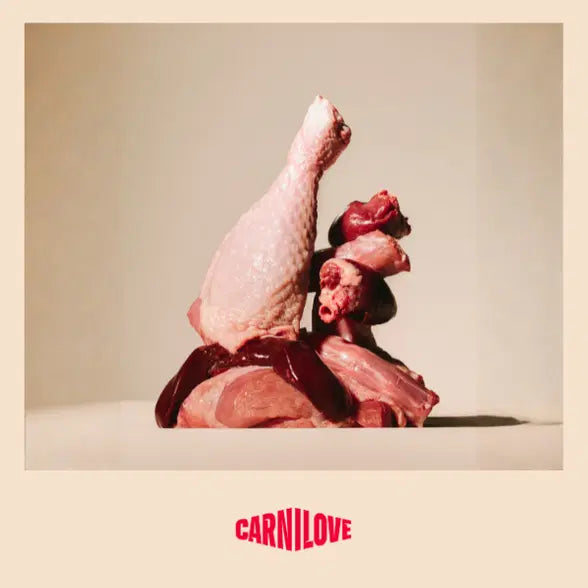 Load image into Gallery viewer, CARNILOVE JUNIOR LARGE BREED SALMON &amp; TURKEY

