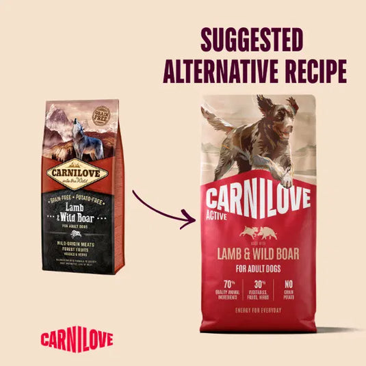 CARNILOVE ADULT LAMB & BOAR