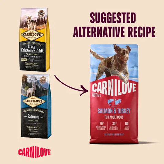 CARNILOVE SALMON & TURKEY ADULT