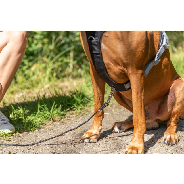 Load image into Gallery viewer, Trixie Premium Active Harness Sangria M - L 60 - 75 cm/25 mm
