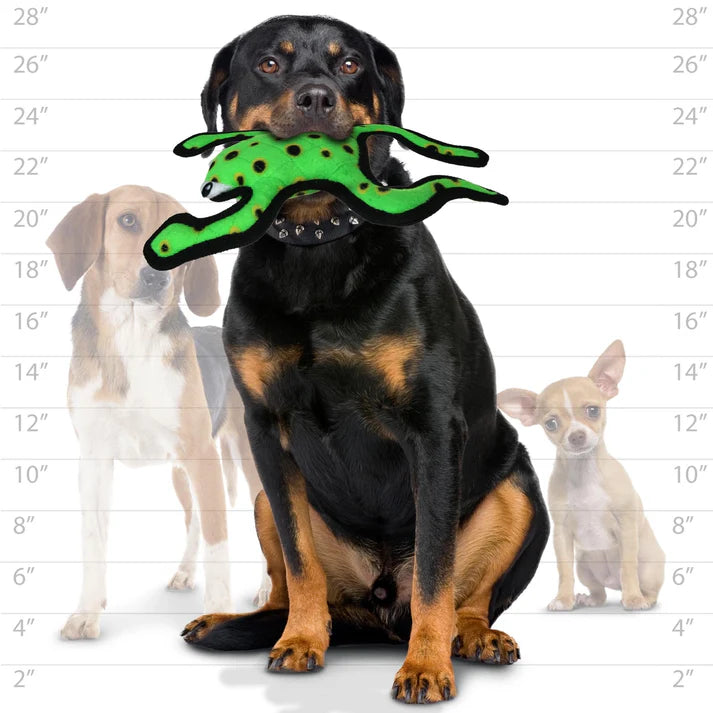 Load image into Gallery viewer, TUFFY PHROG LEAPING
