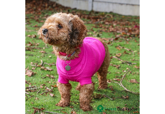 PINK CABLE KNIT JUMPER