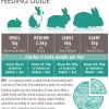 Science Selective Adult Rabbit Food 1.5KG