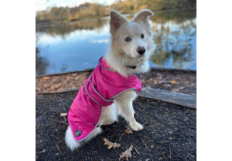 Load image into Gallery viewer, STORMGUARD COAT PINK

