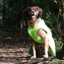 Load image into Gallery viewer, STORMGUARD HI-VIS COAT
