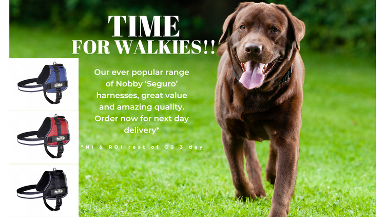 Animal 2024 dog shop