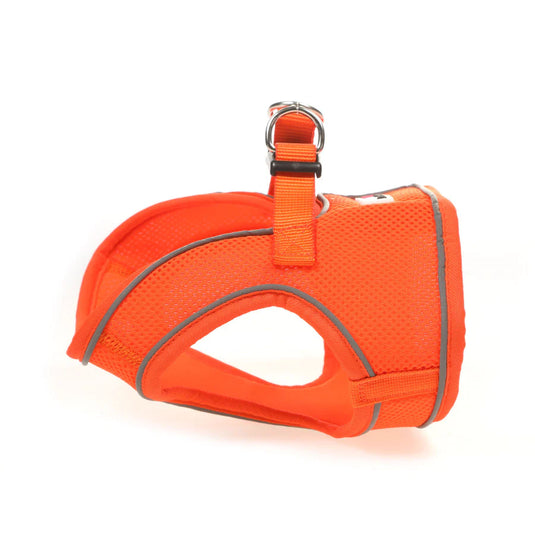 DOODLEOBNE Snappy Harness, Tangerine, 4
