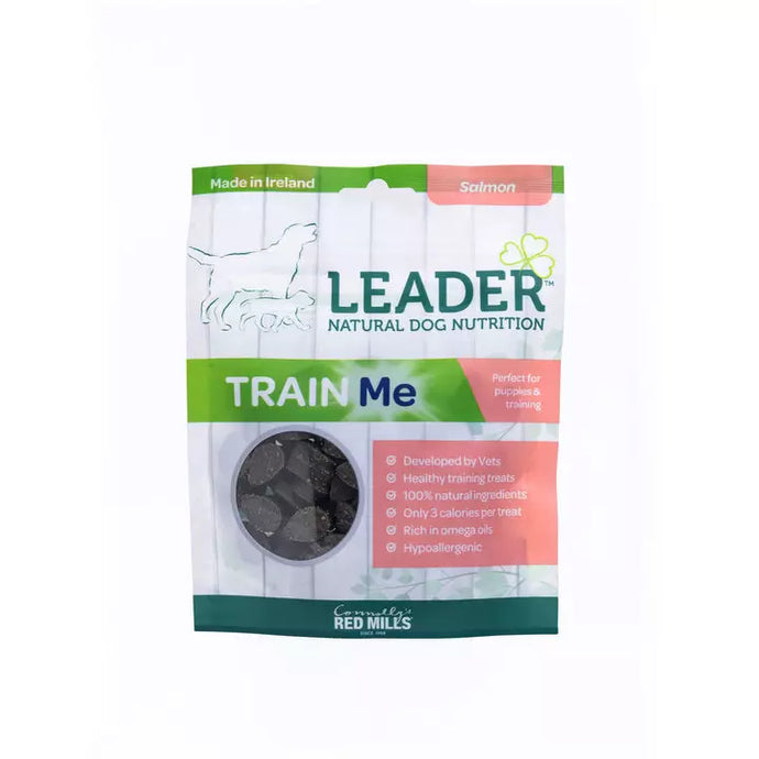 LEADER TRAINING SALMON