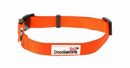 DOODLEBONE Collar, Tangerine, 6-11