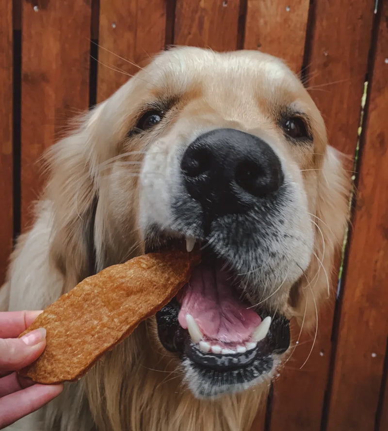 Load image into Gallery viewer, ANCO NATURALS CHICKEN JERKY
