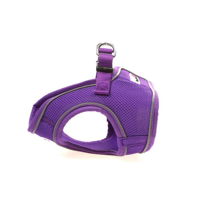 DOODLEBONE Snappy Harness, Violet, 1