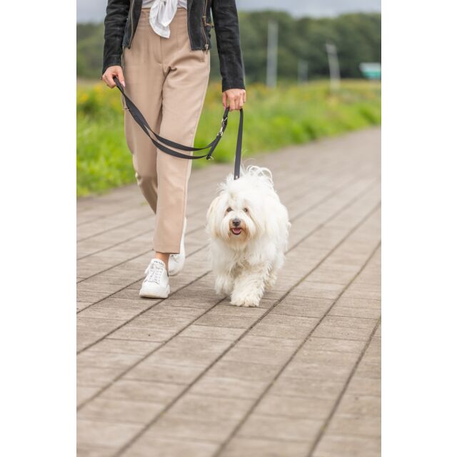 Load image into Gallery viewer, Premium Adjustable Lead, double-layered M-L Black
