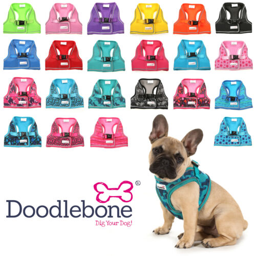 DOODLEBONE Snappy Harness, Violet, 1