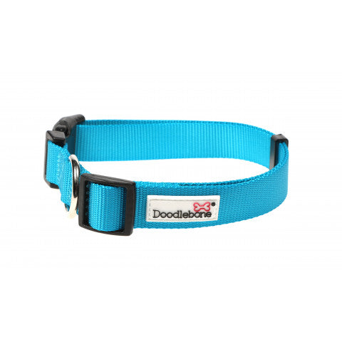 DOODLEBONE Collar, Aqua, 1-2