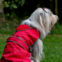 Load image into Gallery viewer, STORMGUARD COAT RED
