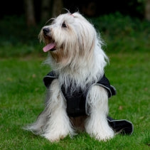 Load image into Gallery viewer, STORMGUARD COAT BLACK
