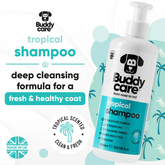 BUDDYCARE 500ML TROPICAL SHAMPOO